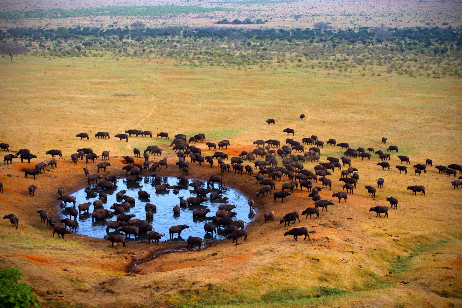 tsavo reserve