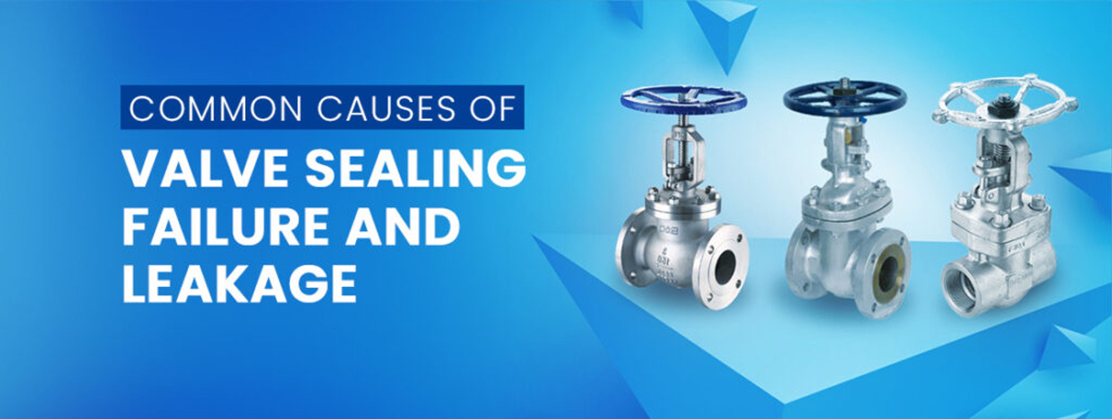 Common Causes of Valve Sealing Failure and Leakage