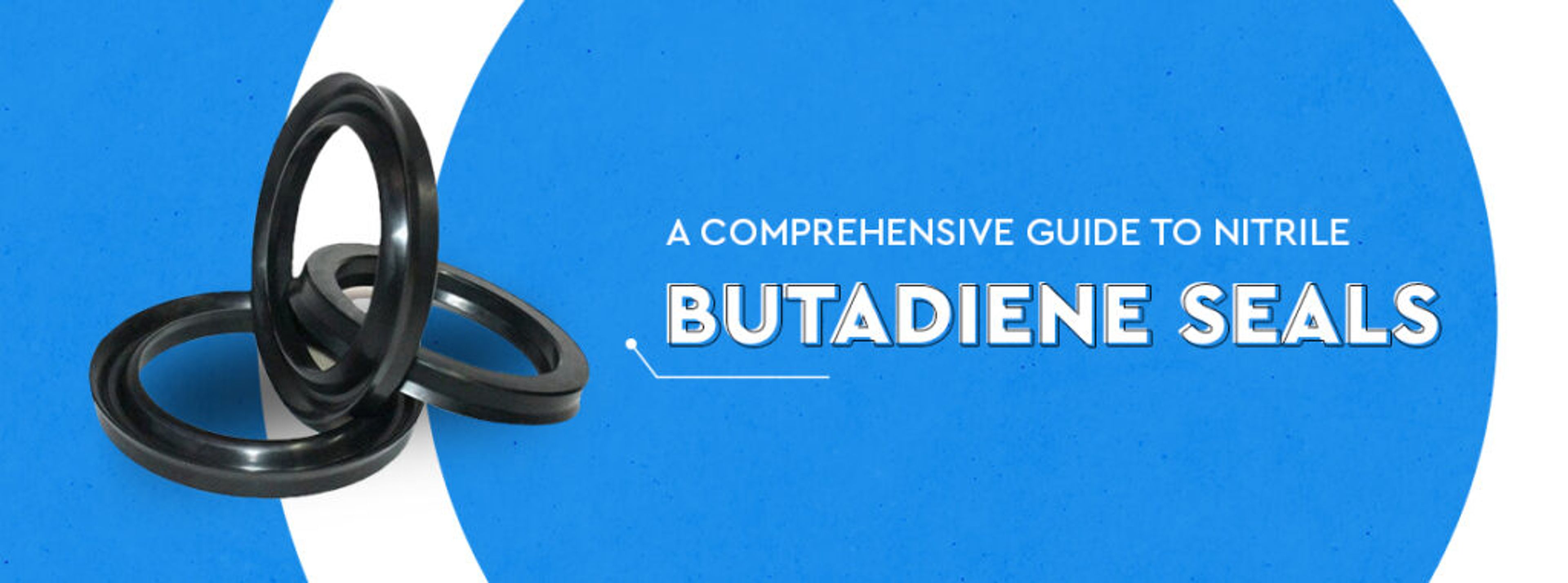 A Comprehensive Guide to Nitrile Butadiene Seals