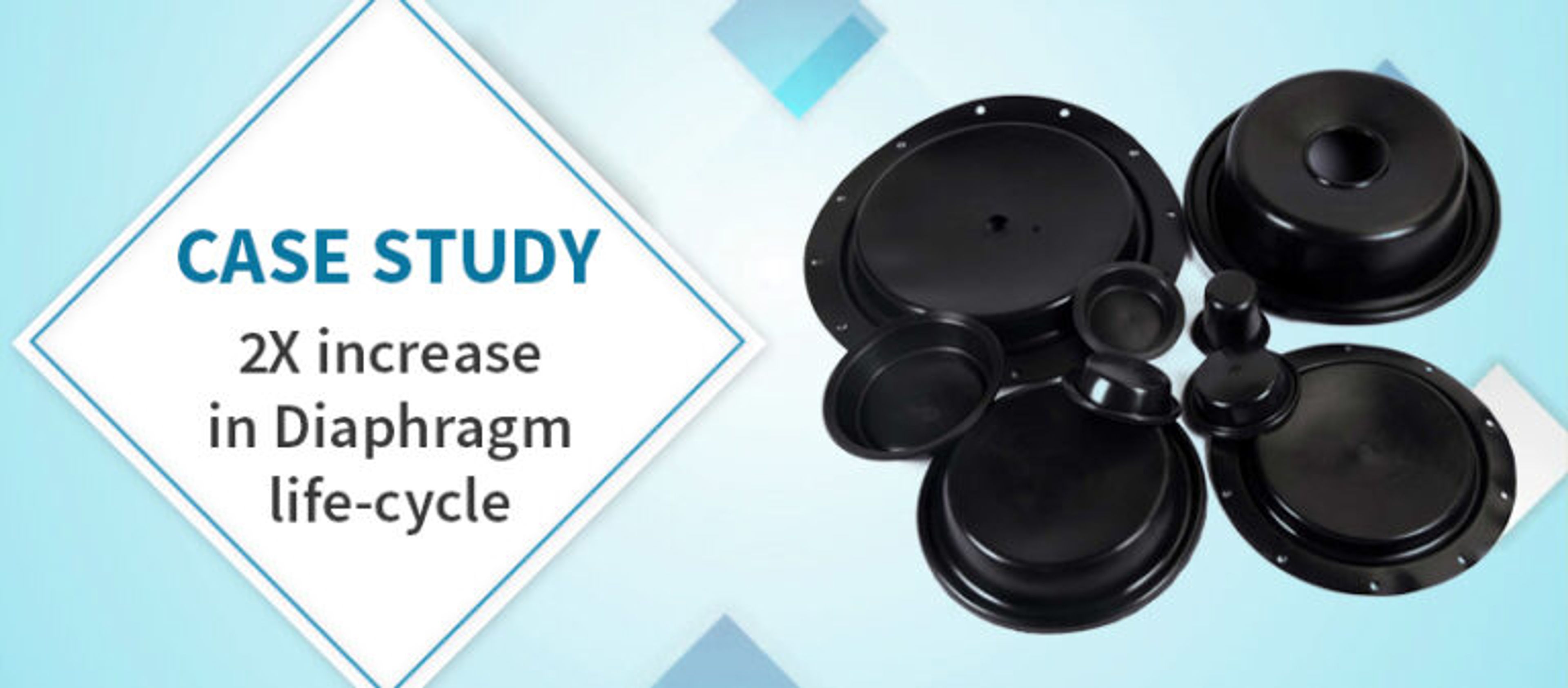 Case Study – Diaphragms for Control Valves