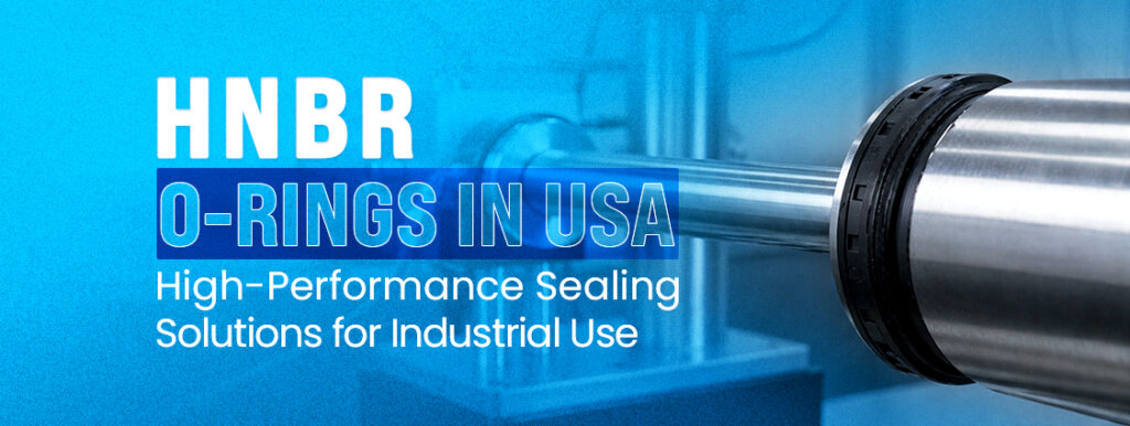 HNBR O-Rings in USA: High-Performance Sealing Solutions for Industrial Use