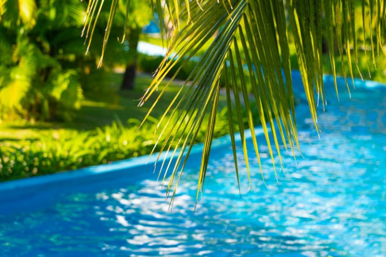 Custom-built lazy river with gentle water flow, designed for a fun and leisurely swim