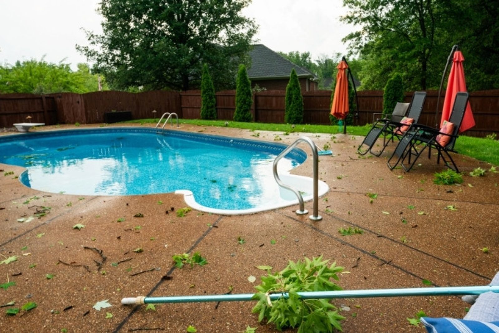 Storm debris increasing contamination risks in a swimming pool