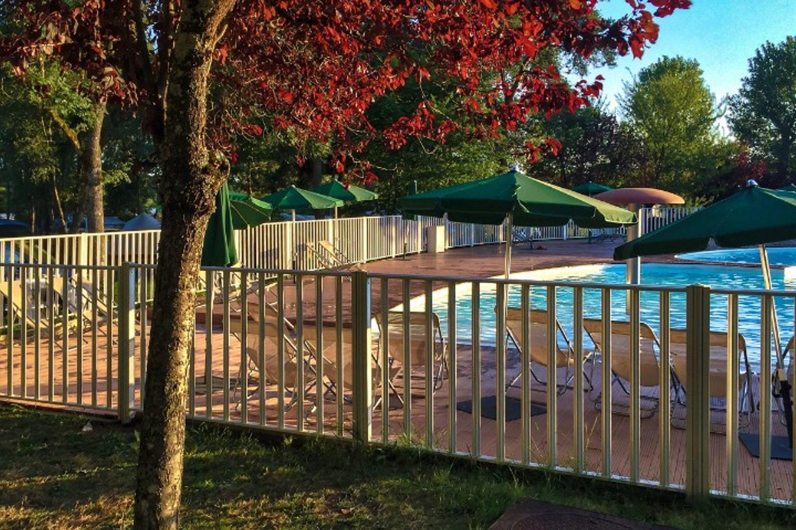 Swimming pool enclosed by fencing to help restrict unsupervised access