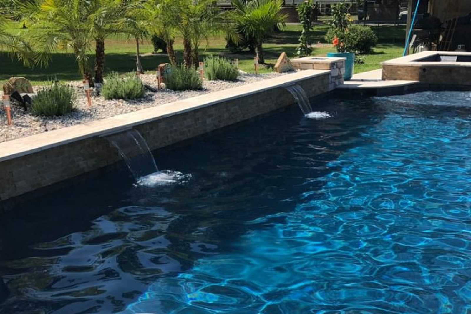 Ornamental grasses featured around a luxury pool in Houston for a resort-style effect