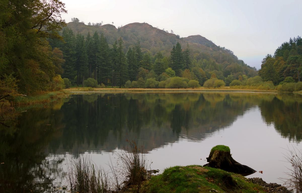 22 Fantastic Lake District Fishing Spots in Ambleside & Windermere
