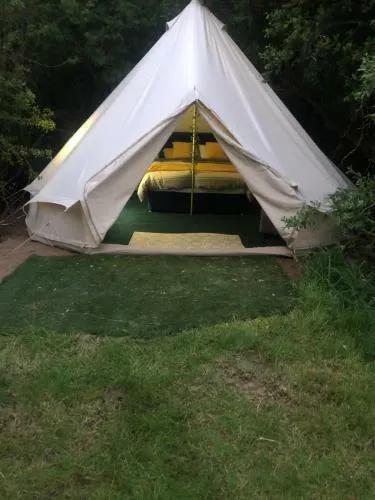 Gracelands Glamping in Northern Ireland