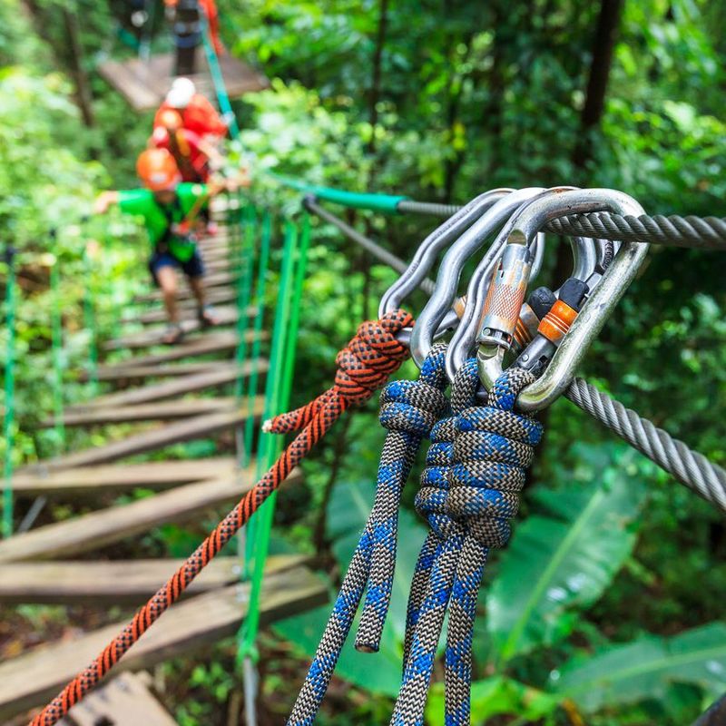 Scotland's Ropes Course 7 Best Activity Holidays in Scotland for Ones That Can't Sit Still