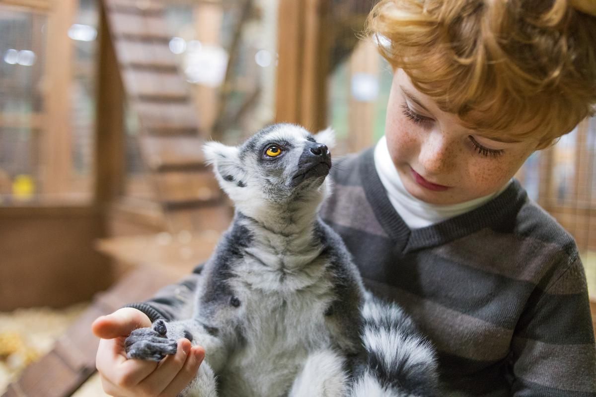 Luxury Lodges near Flamingo Land with Hot Tubs | HottubHideaways