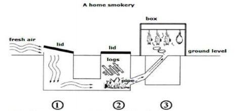 IELTS Writing Task 1-Diagram