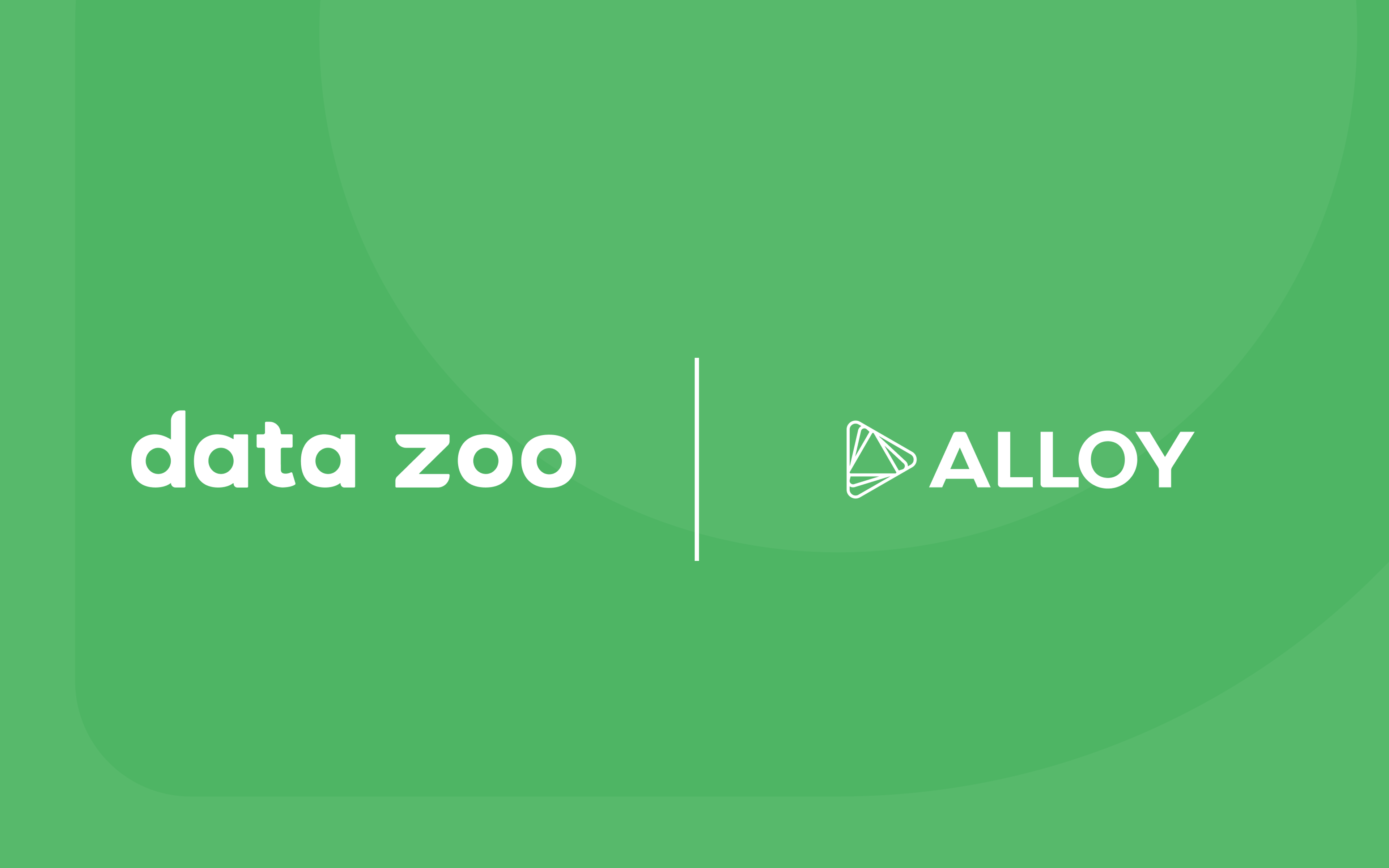 Data Zoo and Alloy Partnership