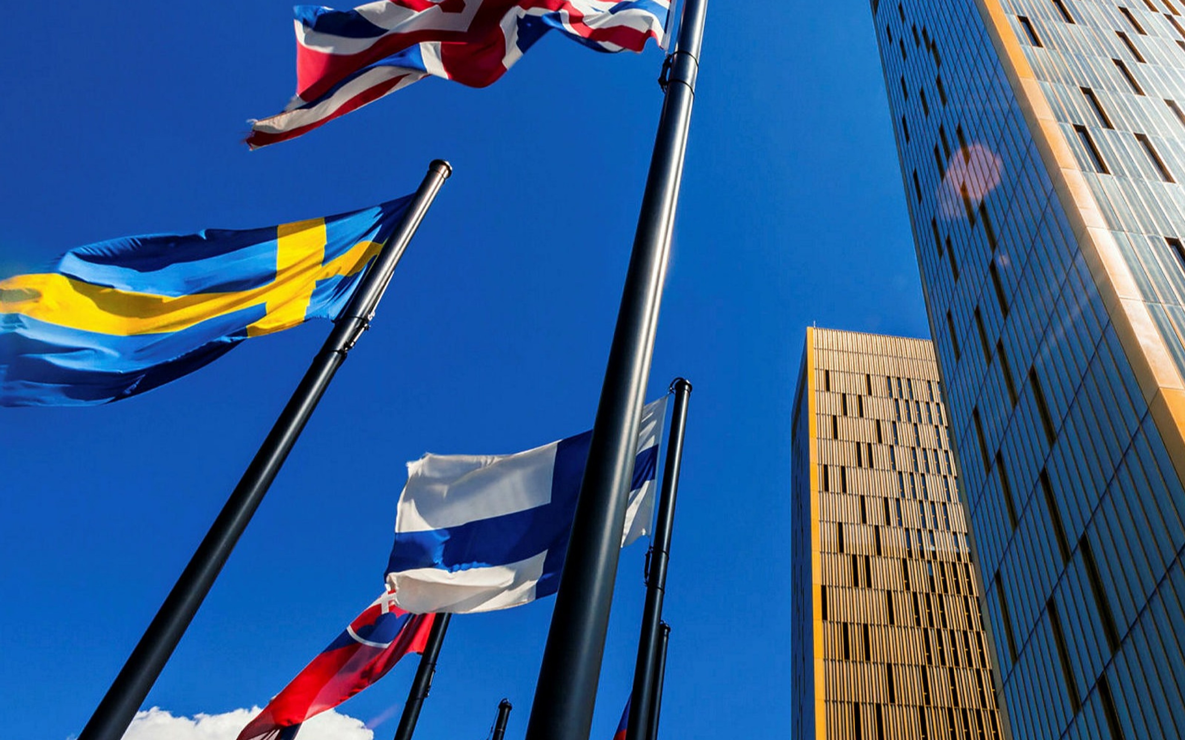 Country flags on poles in the wind