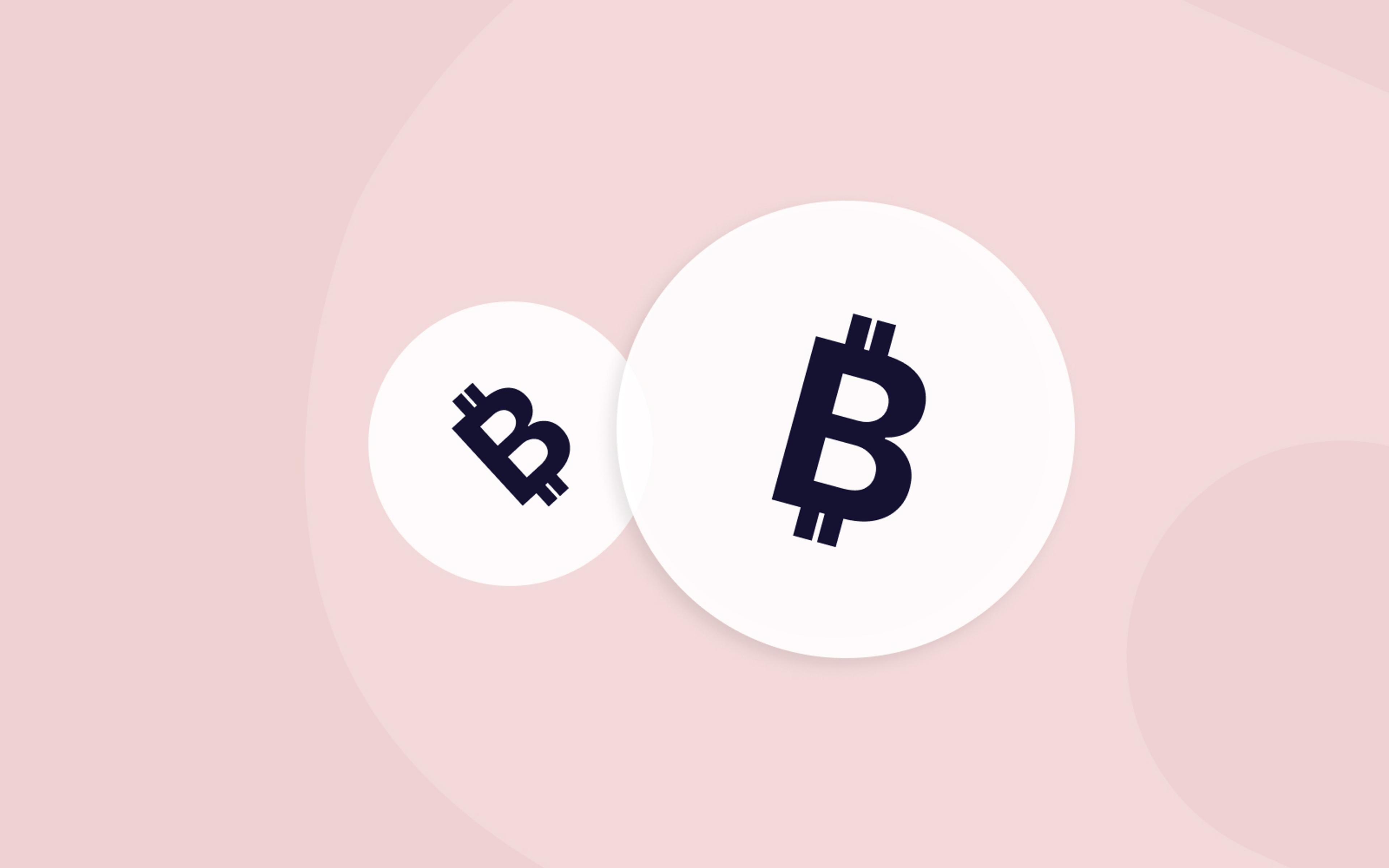 Bitcoin logo on Data Zoo background