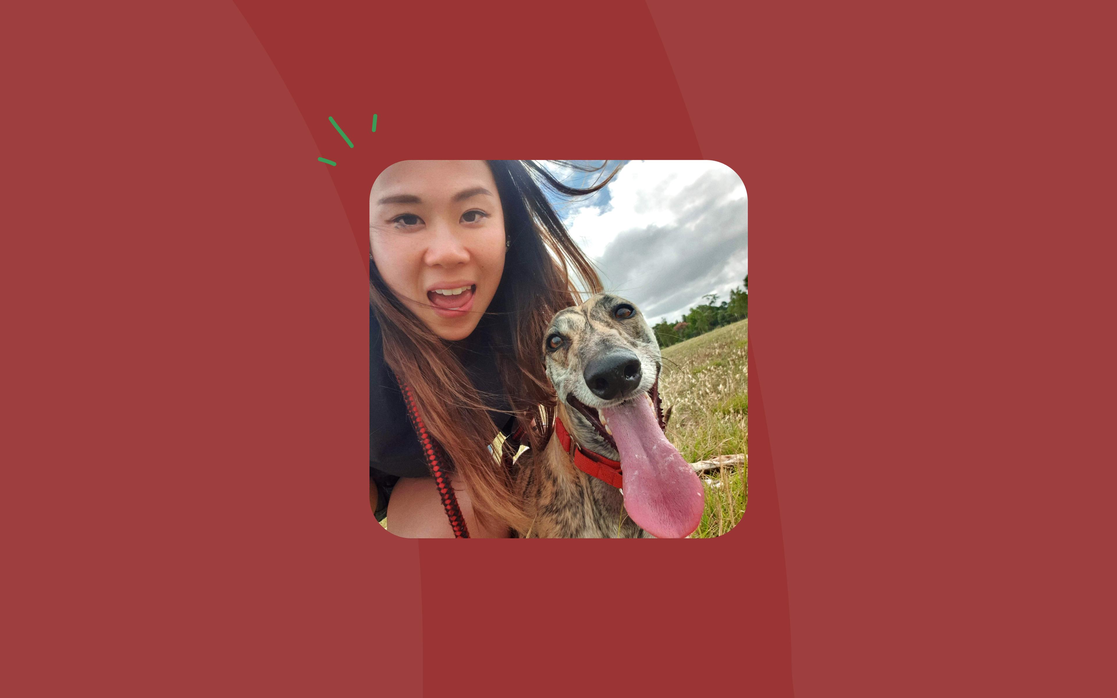 1600x100-Blog-Eva-Opt20