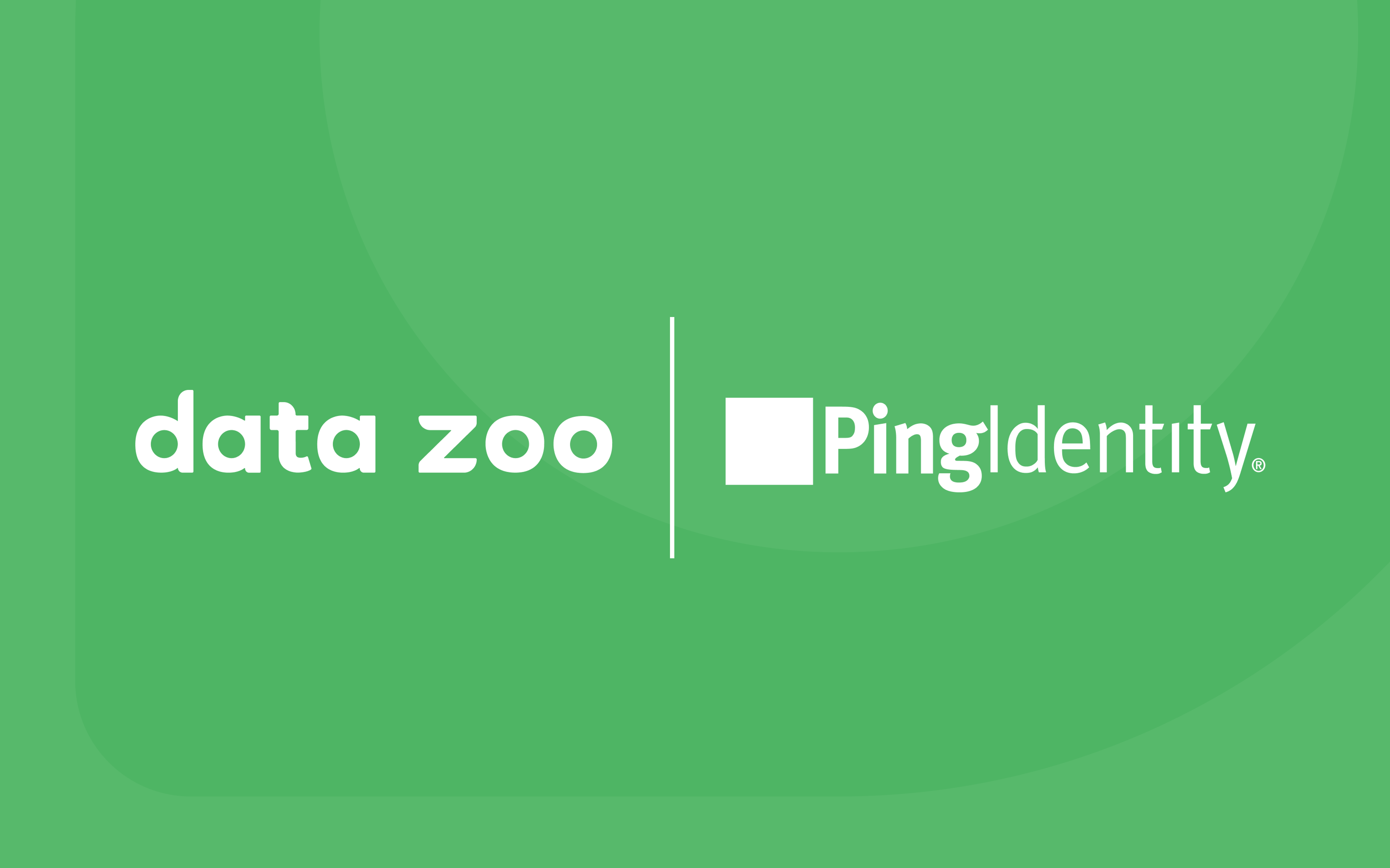 Ping Partnership Banner