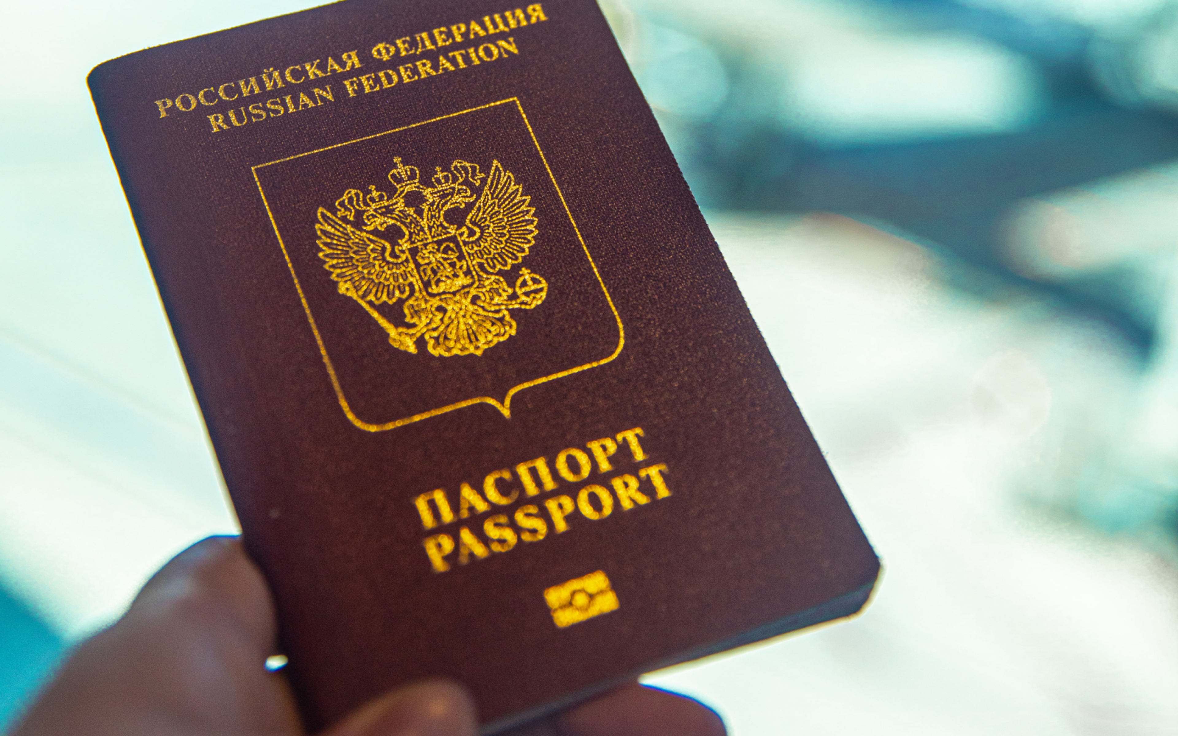 Person Holding a Passport
