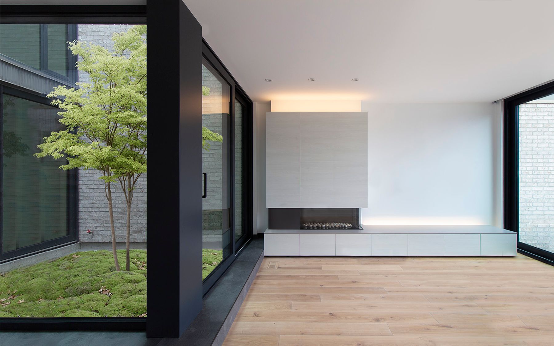 Tree House — Micacchi Architecture