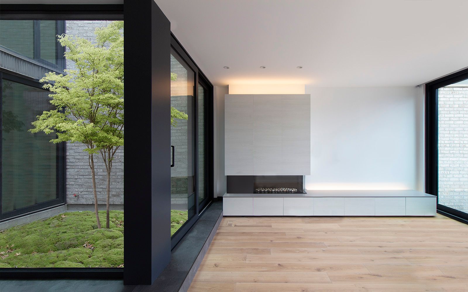 Tree House — Micacchi Architecture