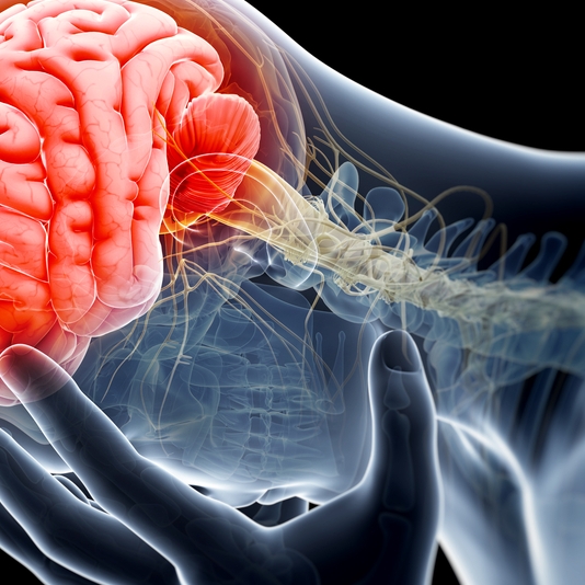 Image Hillsborough Township Traumatic Brain Injury Lawyers