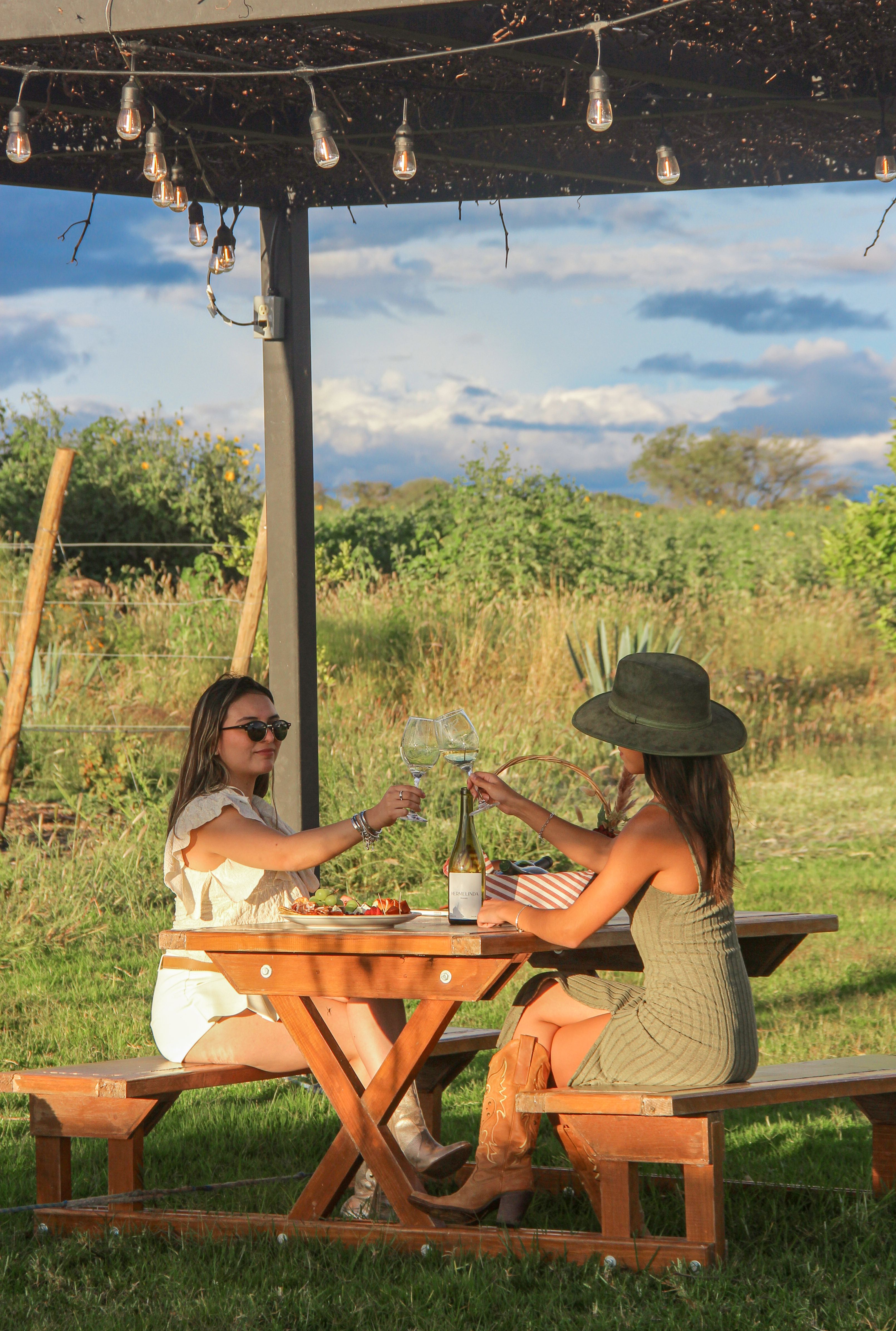 Tour CR + Cata de Vinos