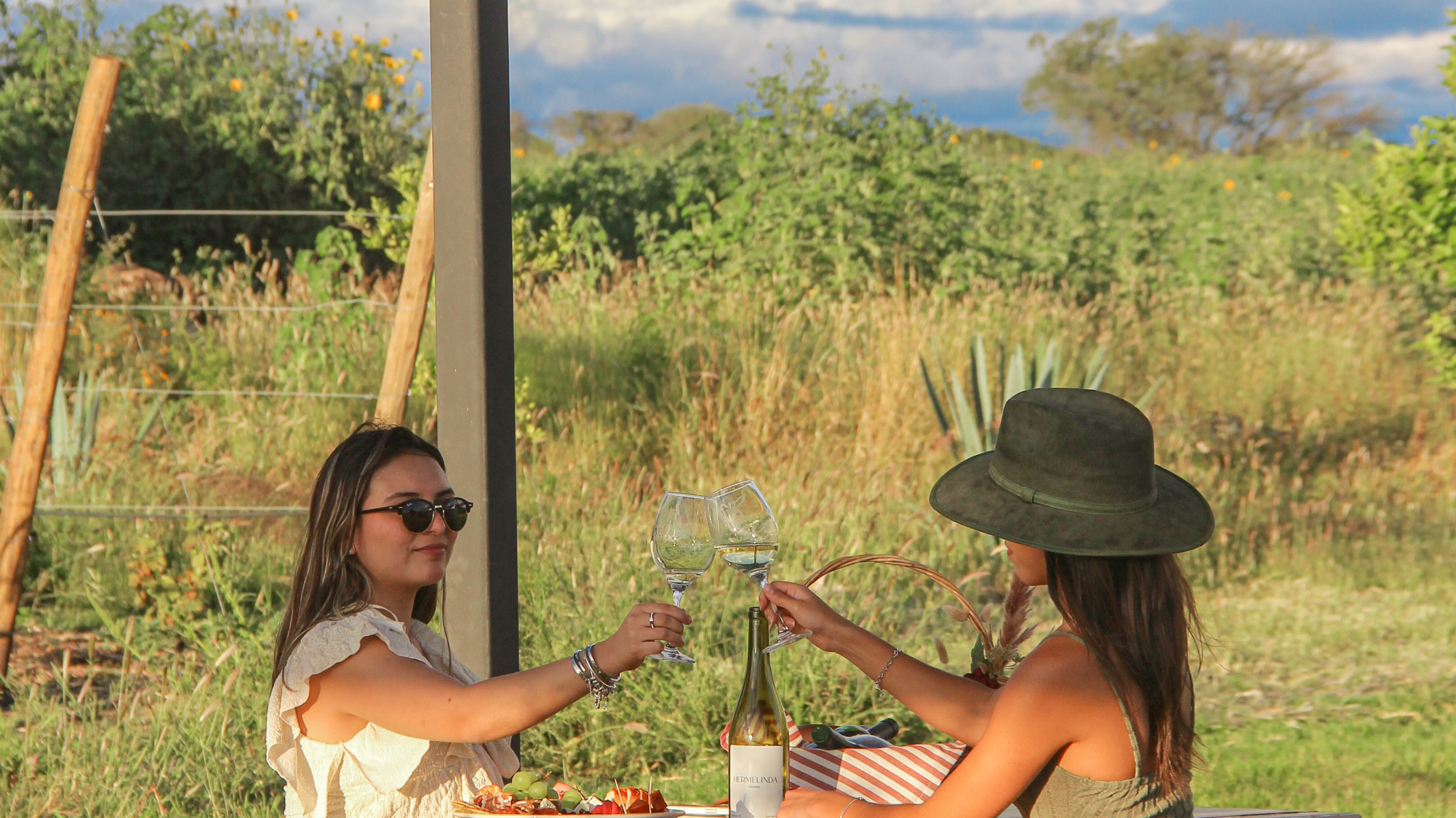 Tour CR + Cata de Vinos