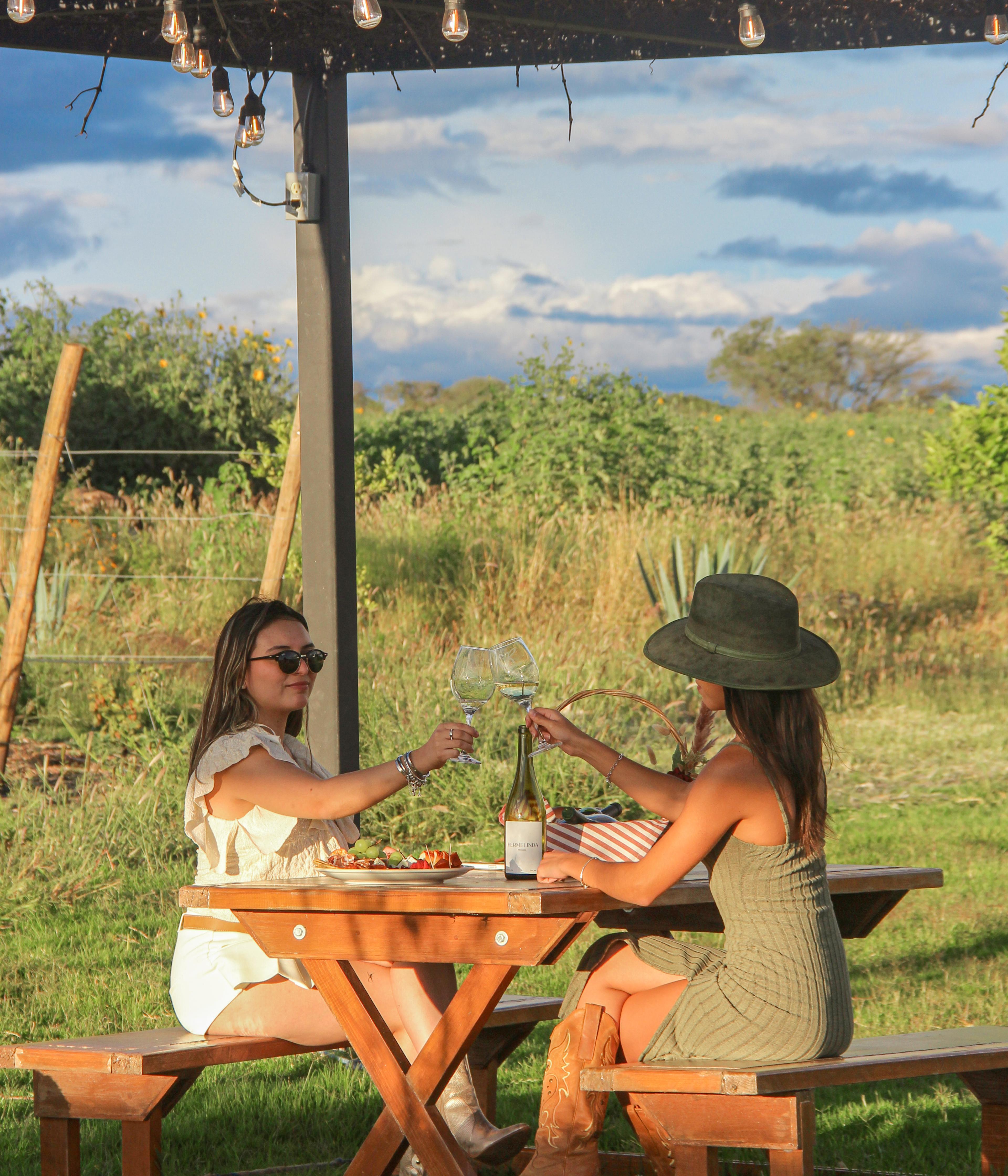 Tour CR + Cata de Vinos