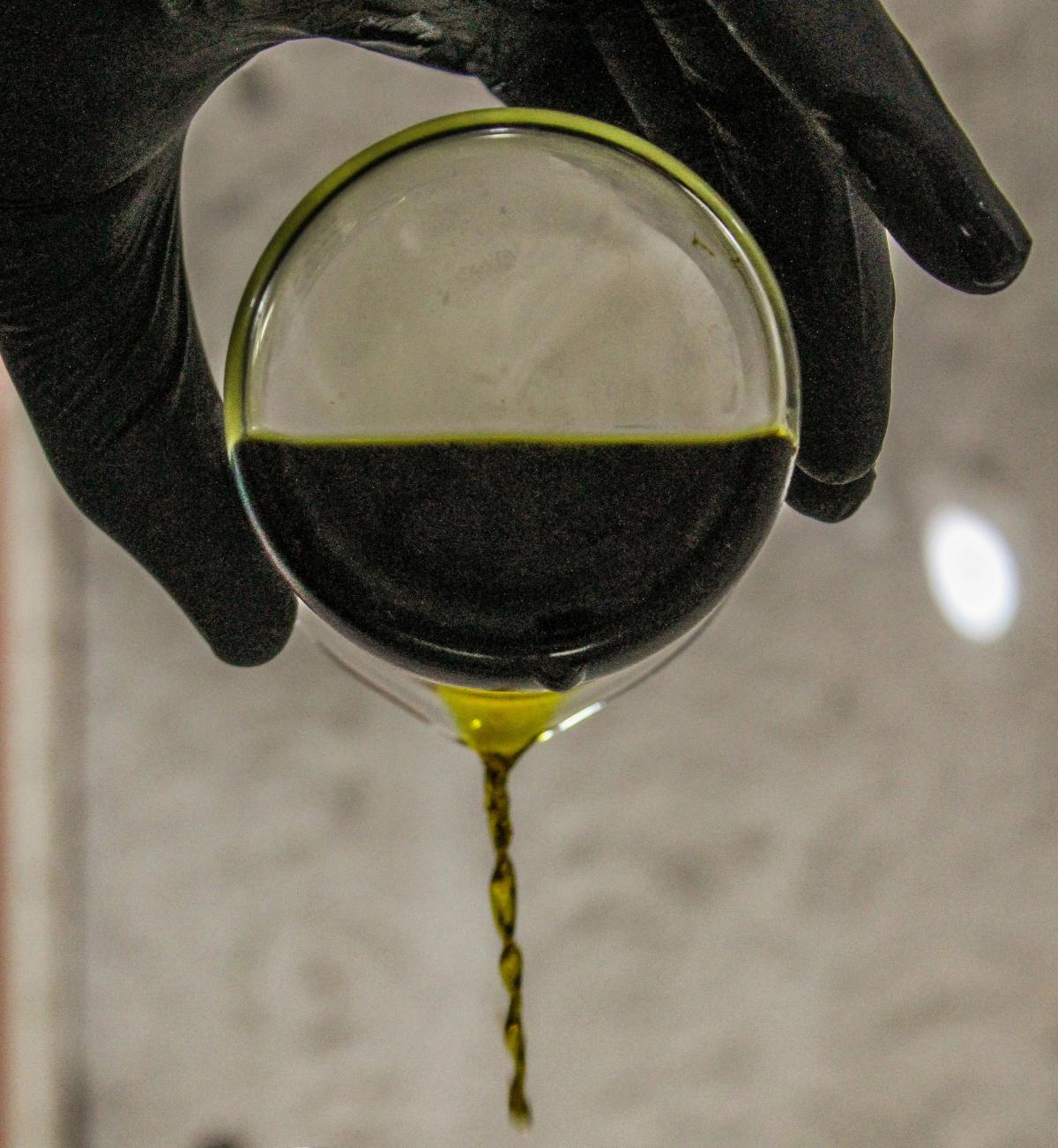 olive-oil-pour-polyphenols