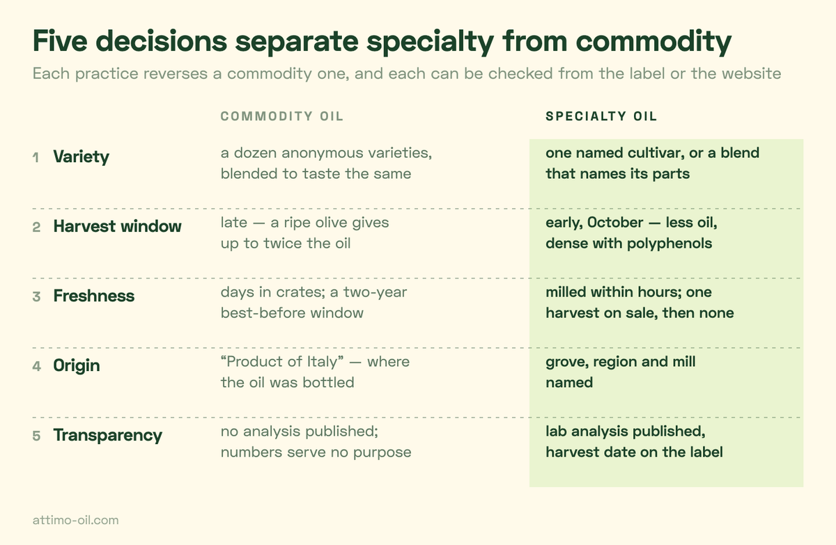 Tabelle der fünf Dimensionen von Specialty-Olivenöl – Sorte, Erntefenster, Frische, Herkunft, Transparenz – mit der Massenpraxis neben der Specialty-Praxis für jede