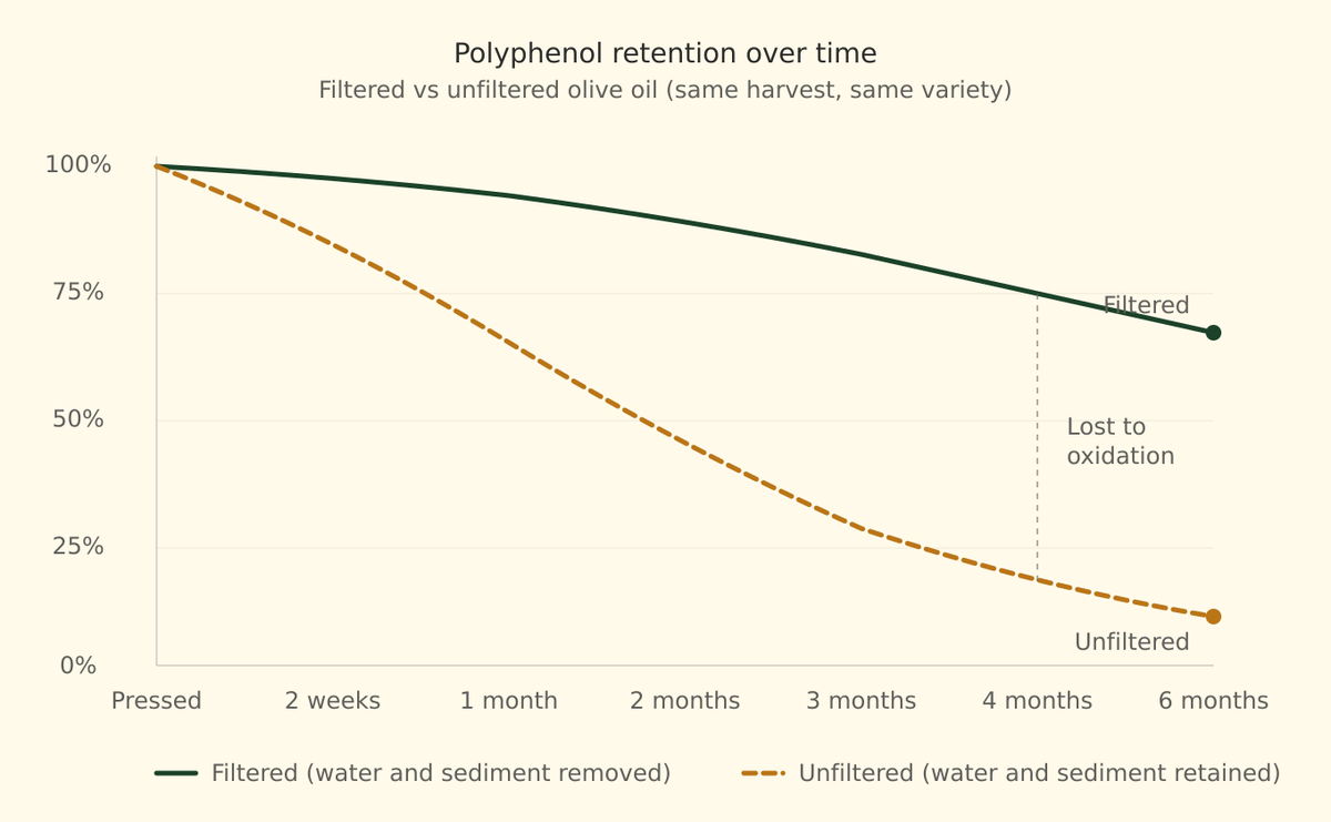 unfiltered filtered olive oil polyphenol degradation chart