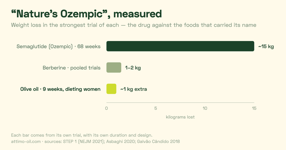 Bar chart of measured weight loss: semaglutide about 15 kg over 68 weeks, berberine 1 to 2 kg in pooled trials, olive oil about 1 kg extra over nine weeks in dieting women