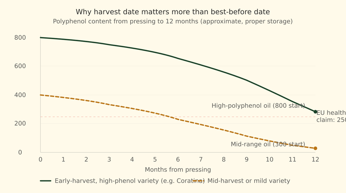 polyphenol degradation in olive oil over time