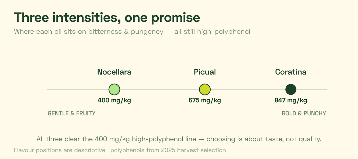olive-oil-polyphenol-relation-count-flavor-intensity
