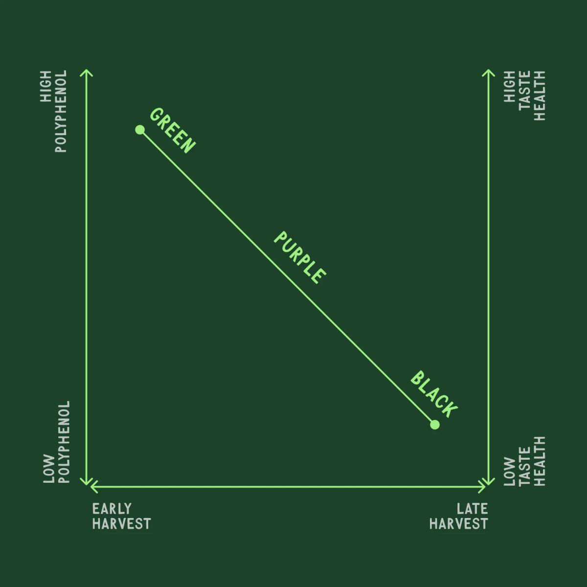 olive-harvest-economics