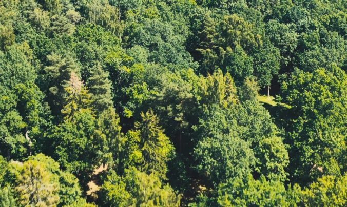 Kan vi leve uden naturen?