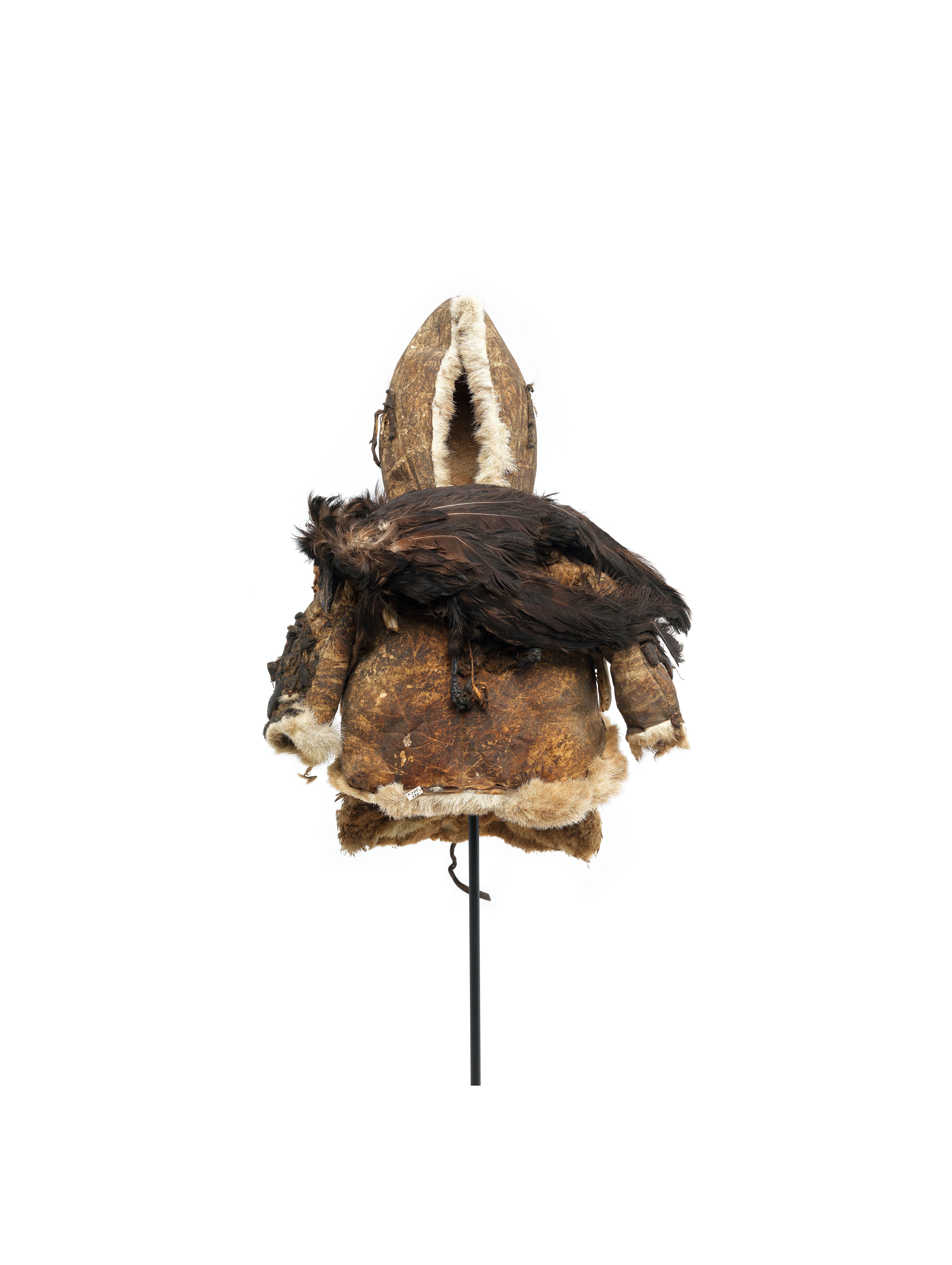 The powers and abilities of animals