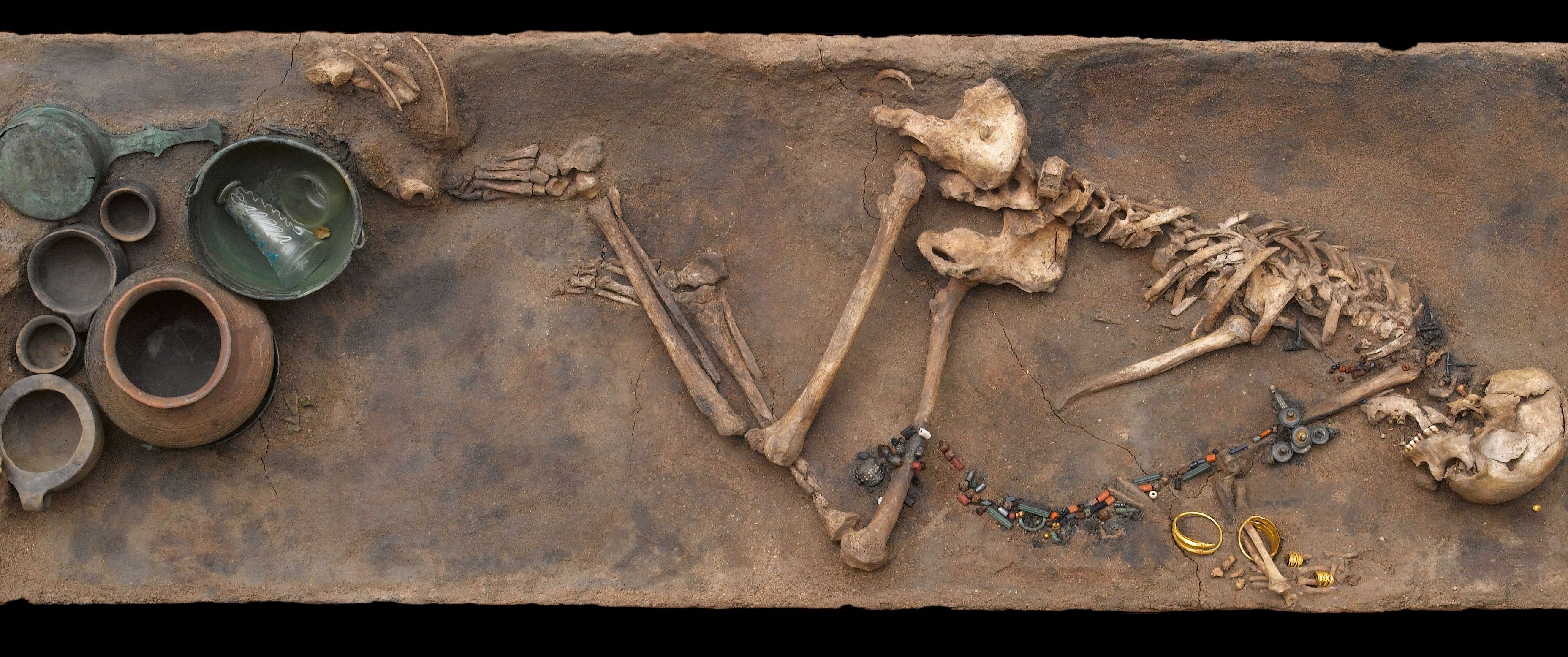 People from Stevns drank Roman natural wine