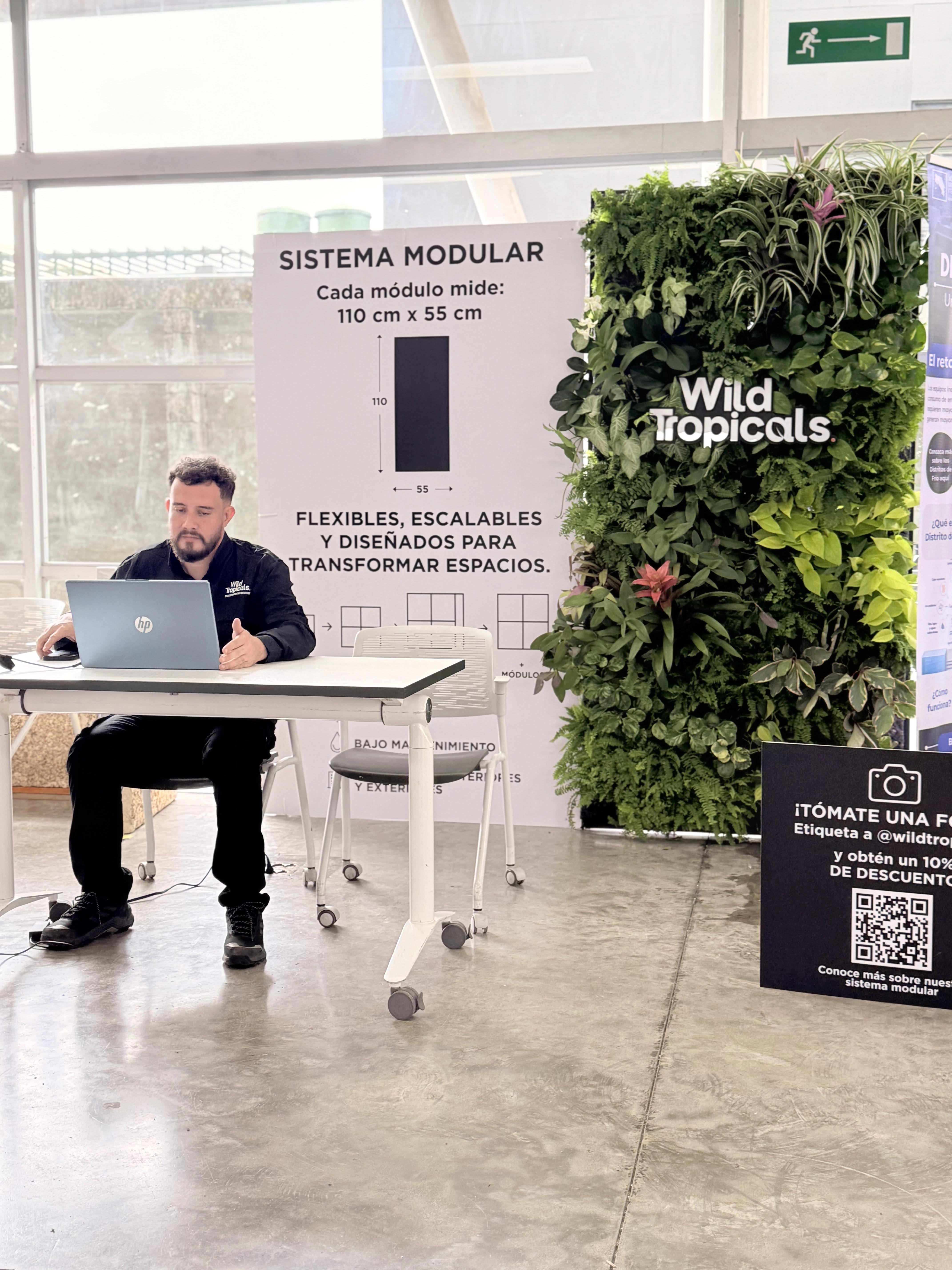 Modular living wall installation by Wild Tropicals at the International Congress of Sustainable Cities in Costa Rica.