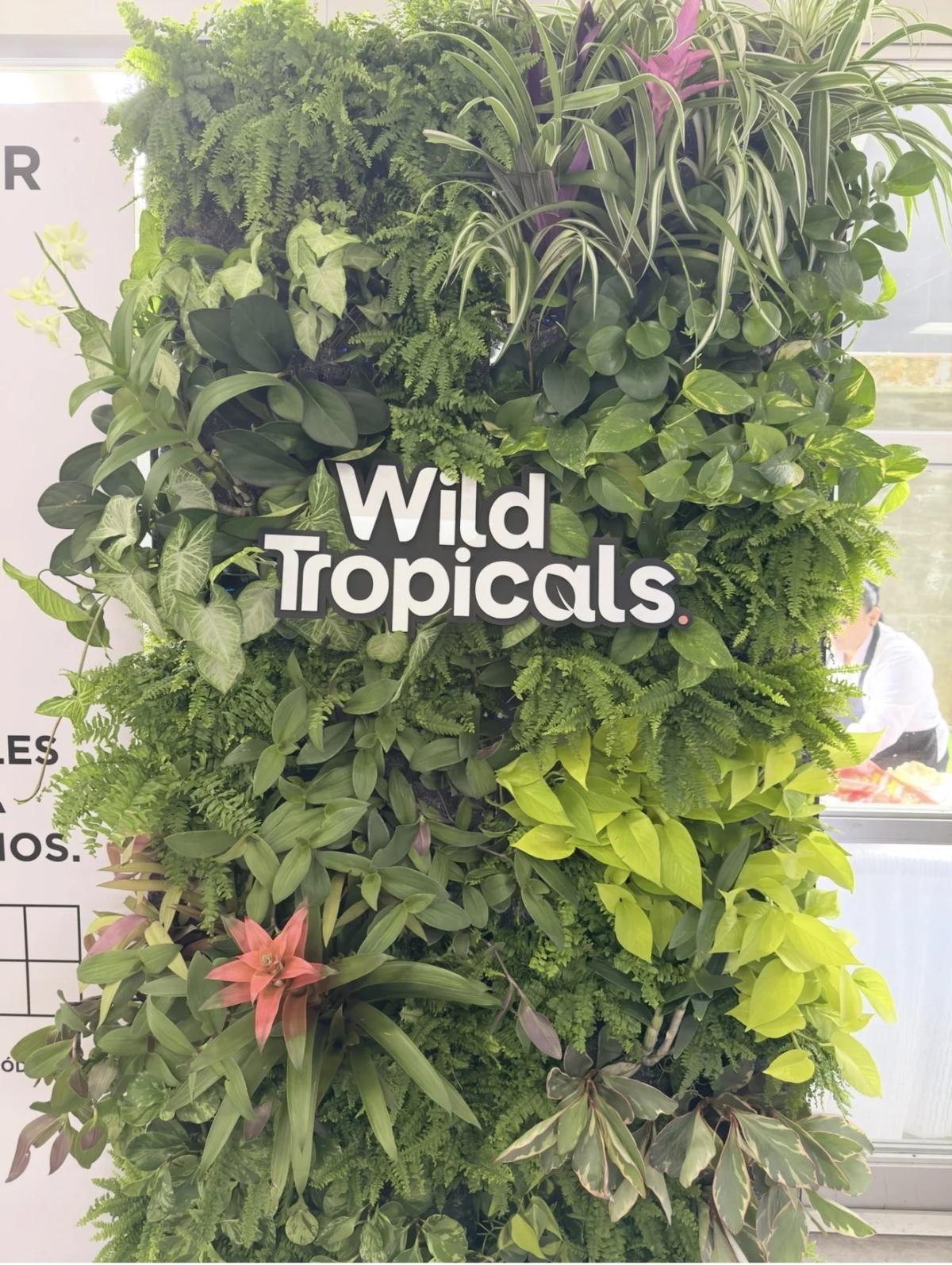 Completed modular living wall installation by Wild Tropicals at CICS 2026.
