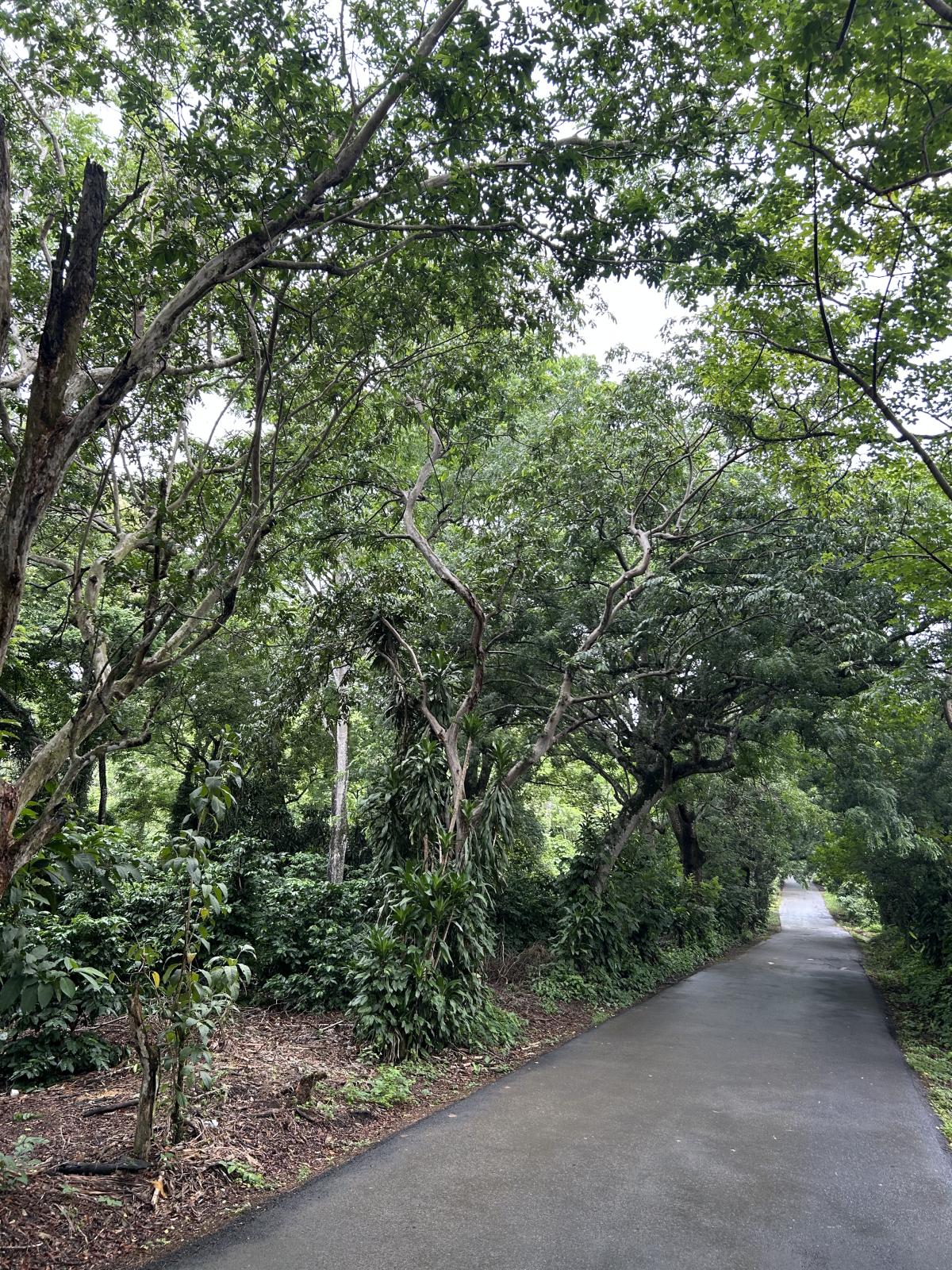 Premontane forest surrounded by agricultural and urban landscapes in western Costa Rica.