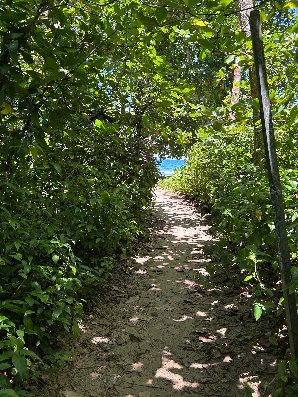 Costa Rican tropical landscape integrating biodiversity, architecture and human spaces.