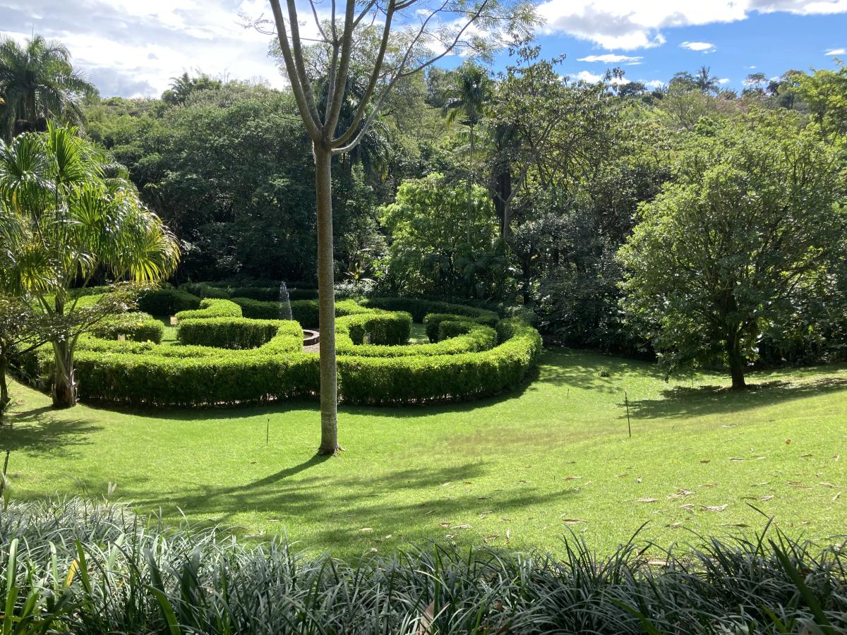 Ornamental urban landscape that appears green but lacks meaningful ecological function.