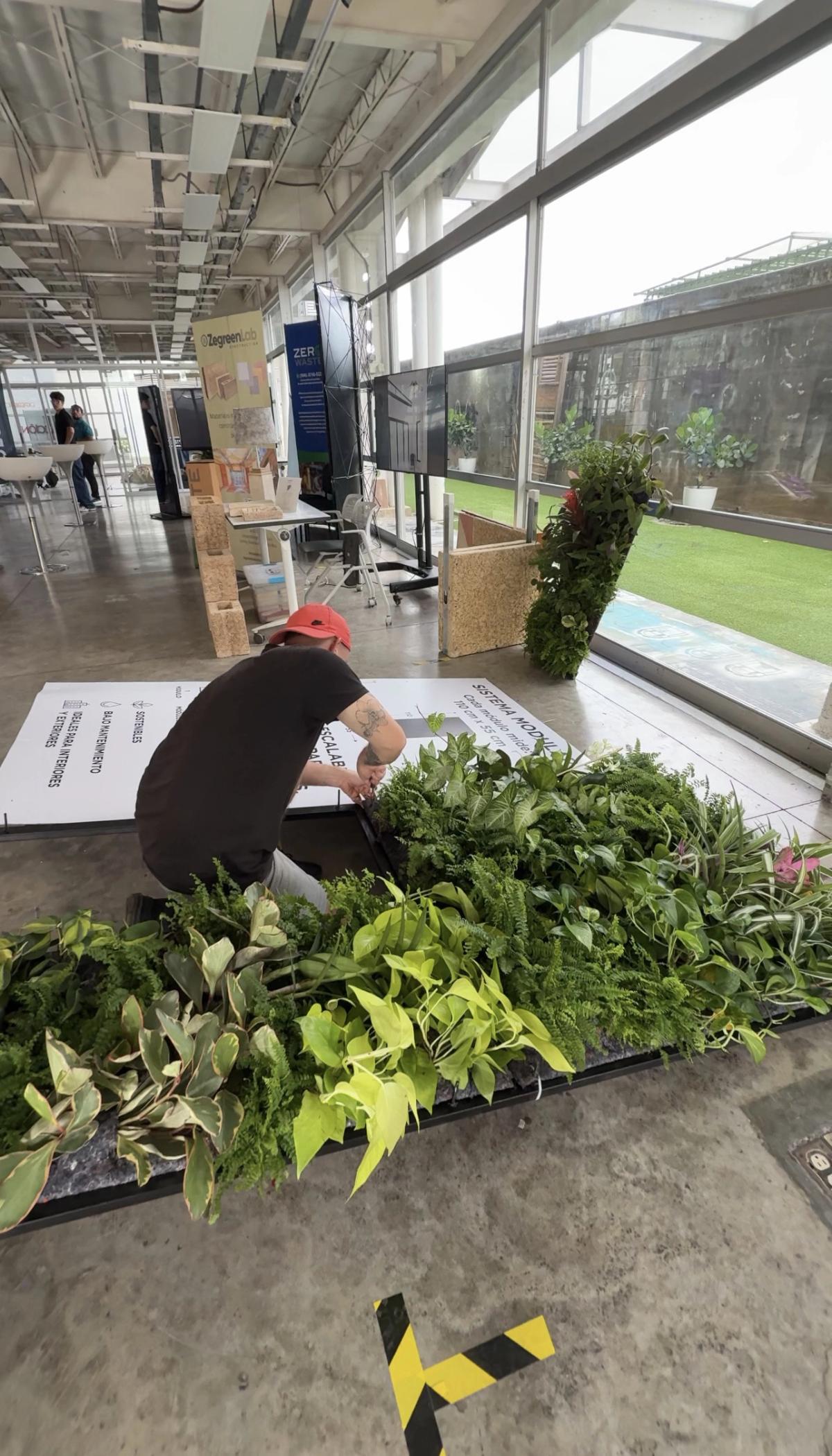 Wild Tropicals assembling a modular living wall during the installation process.