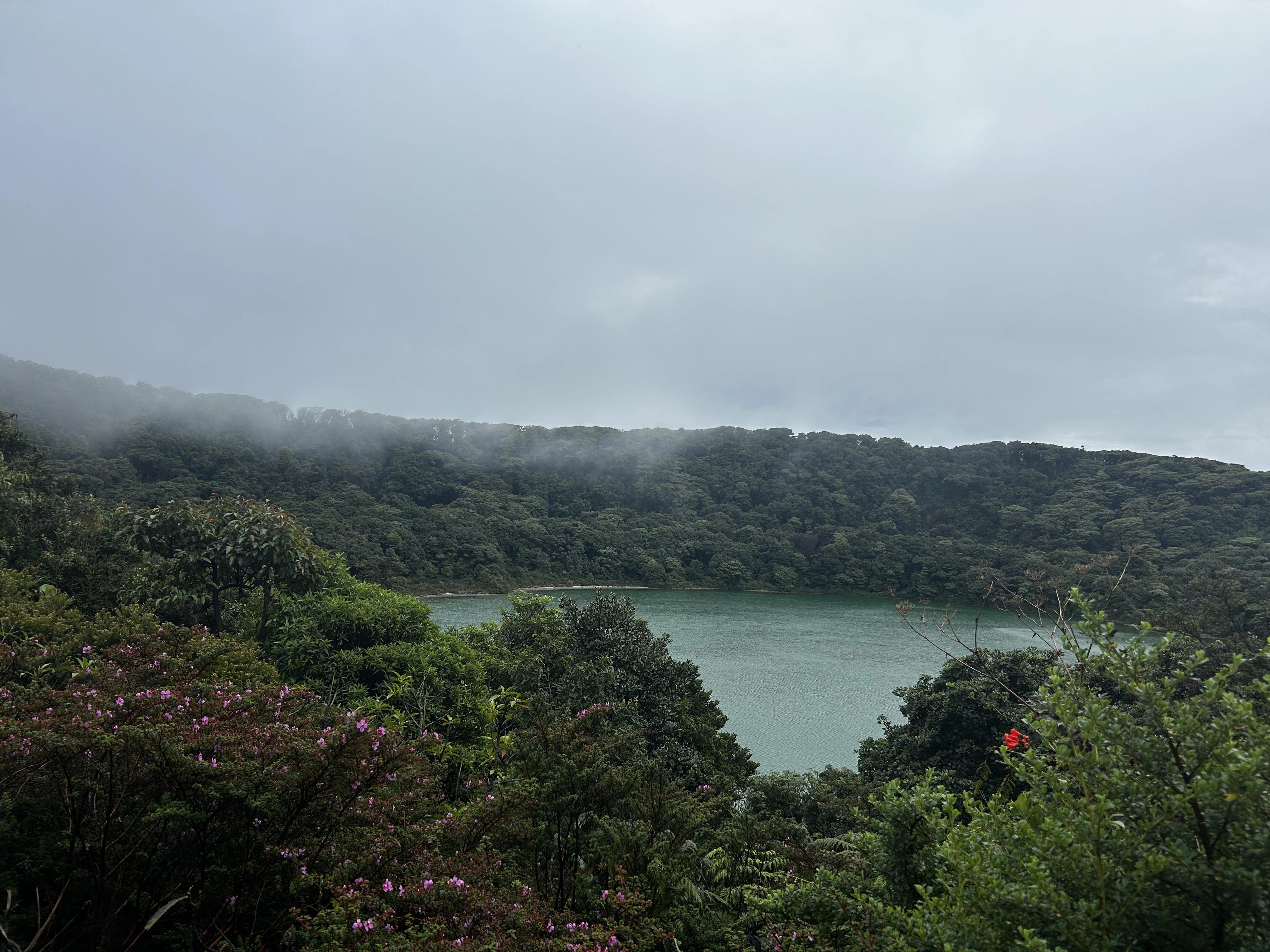 Tropical biodiversity integrated into human spaces through ecological landscape restoration in Costa Rica.