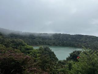 Tropical biodiversity integrated into human spaces through ecological landscape restoration in Costa Rica.