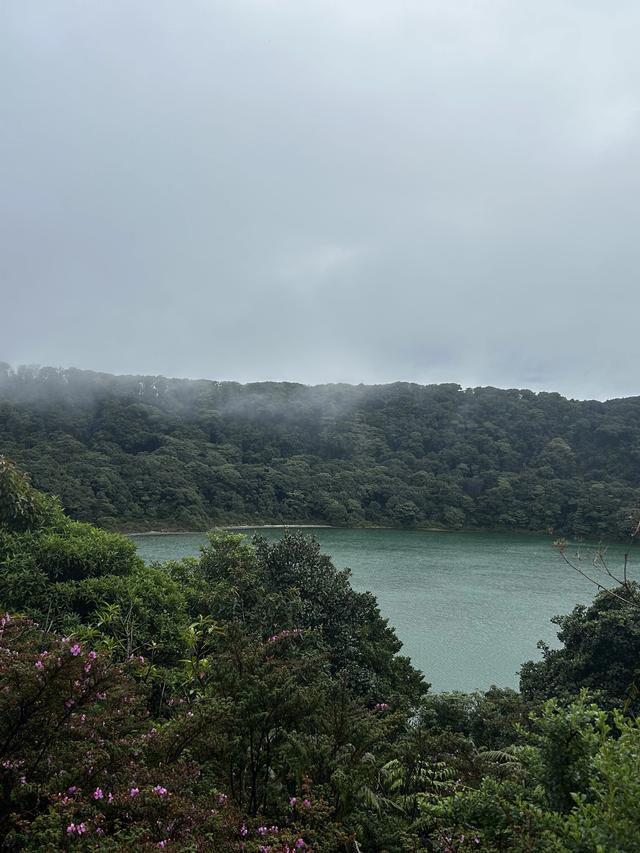 Tropical biodiversity integrated into human spaces through ecological landscape restoration in Costa Rica.