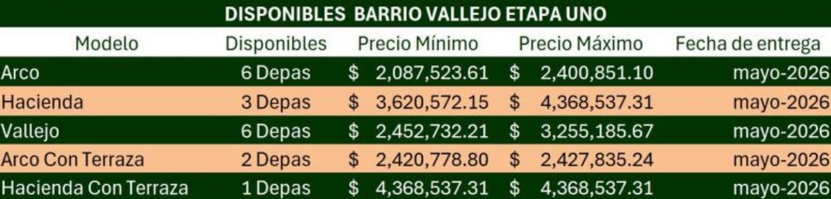 Fotografía de DEPARTAMENTOS EN VENTA  BARRIO VALLEJO