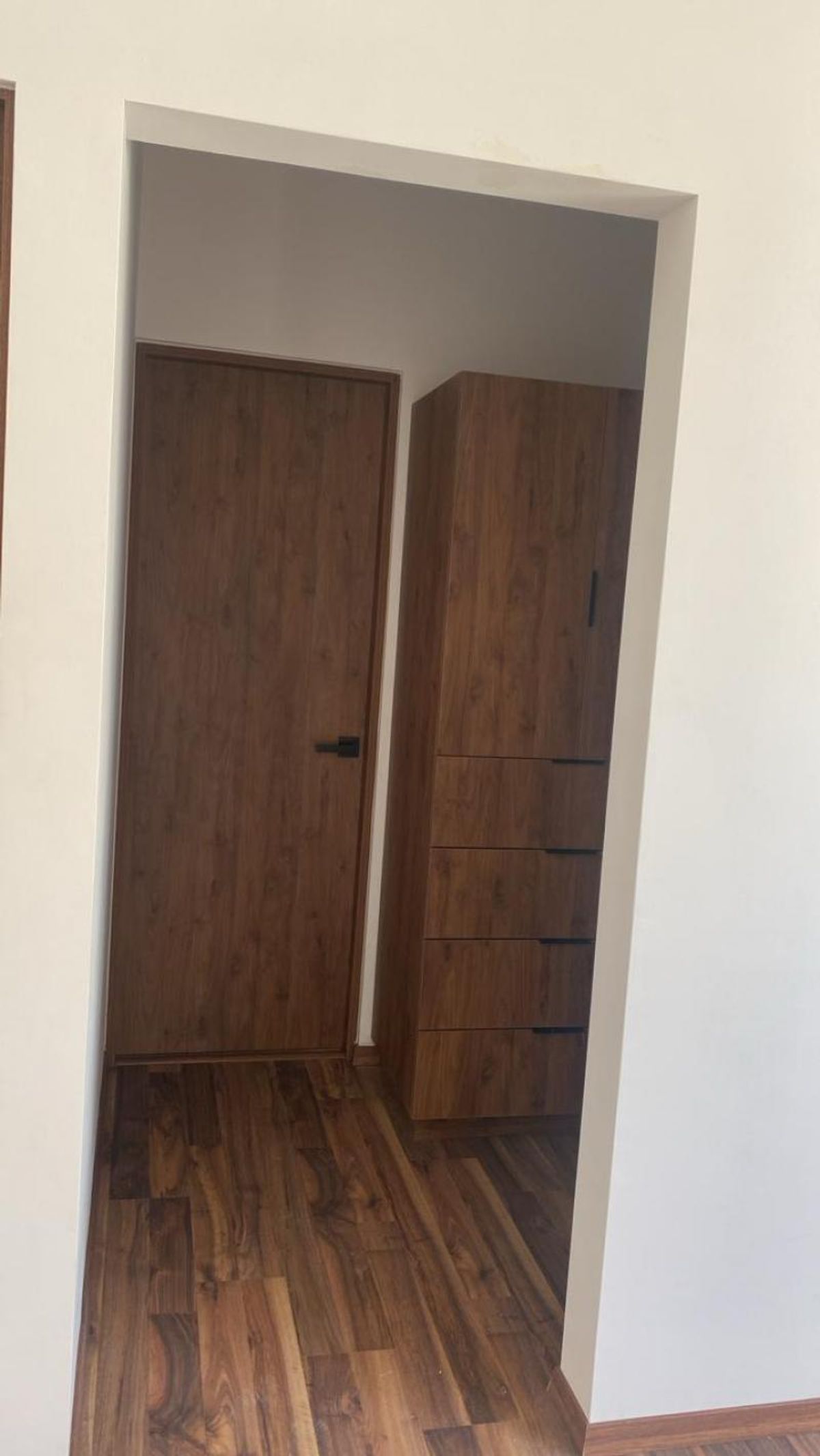 Pasillo con piso de madera, puerta cerrada y closet integrado de madera con cajones