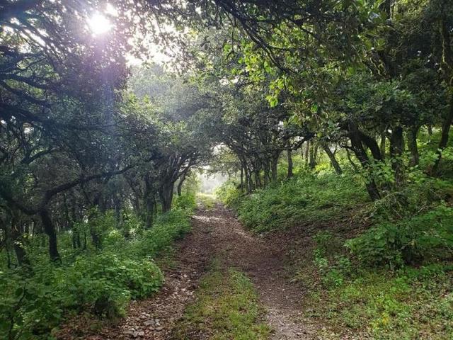 Fotografía de EXCELENTE TERRENO EN VENTA EN SIERRA DE ALVAREZ