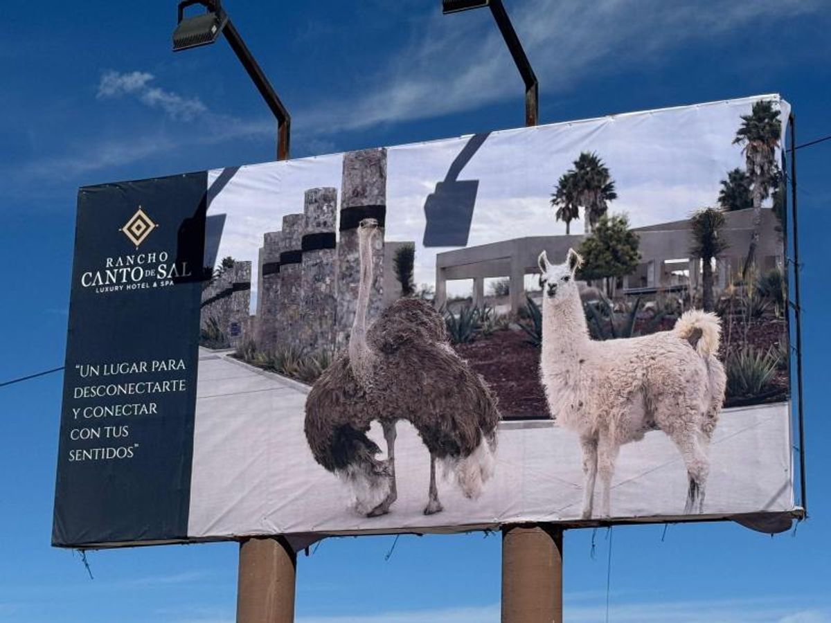 Fotografía de LOTES EN VENTA EN RANCHO CANTO DE SAL
