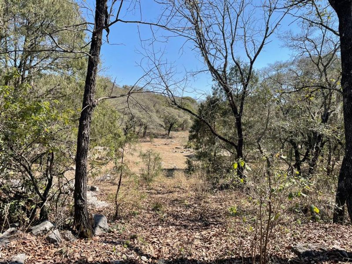 Fotografía de EXCELENTE TERRENO EN VENTA EN LOS LLANITOS VILLA DE ZARAGOSA